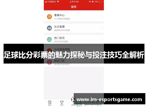 足球比分彩票的魅力探秘与投注技巧全解析