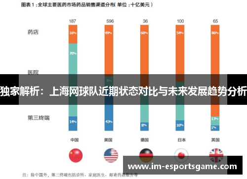 独家解析：上海网球队近期状态对比与未来发展趋势分析