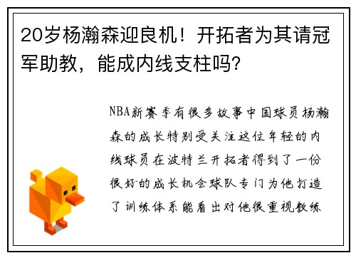 20岁杨瀚森迎良机！开拓者为其请冠军助教，能成内线支柱吗？
